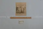 Lot of newspapers