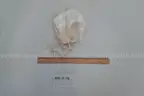 lot of collectibles