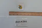lot of collectibles