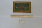 lot of collectibles
