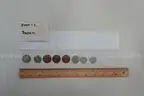 lot of coins