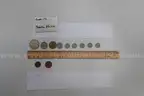 lot of coins