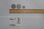 lot of coins