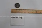 lot of coins