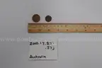 lot of coins