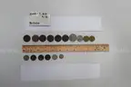 lot of coins