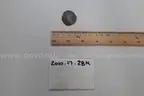 lot of coins