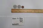 lot of coins