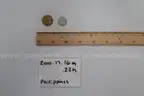 lot of coins