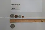 lot of coins