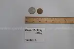 lot of coins