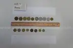 lot of coins