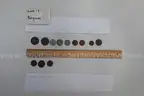 lot of coins