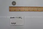 lot of coins