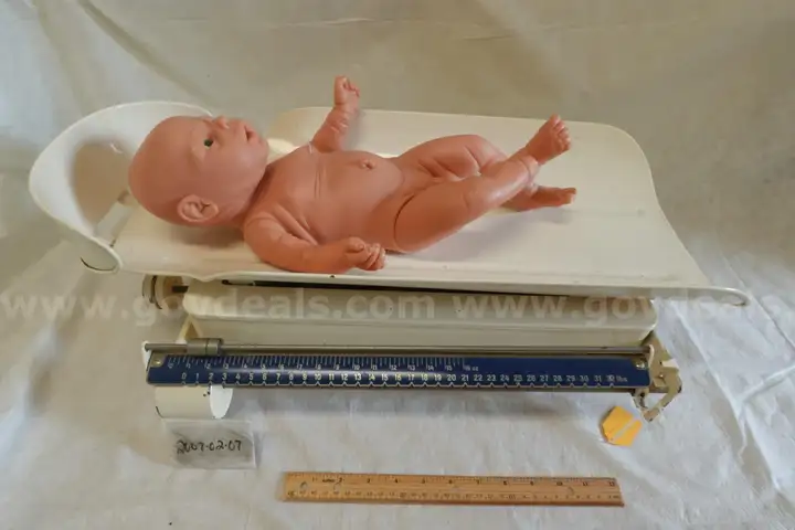 Lot of Collectibles