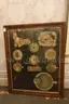 lot of collectibles