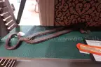 lot of collectibles