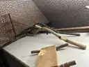 lot of collectibles