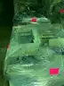 1 Lot (48 Pallets) of Printers, Scanners, Fax, and Other Electronics