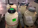 Liquid Nitrogen Tanks (4 pcs)