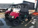 2 MOTORIZED CARTS