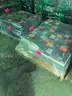 1 Lot (48 Pallets) of Computers, Laptops, &#x26; Networking Equipment