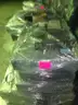1 Lot (48 Pallets) of Computers, Laptops, &#x26; Networking Equipment