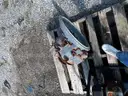 Lot of Scrap Metal (Flooded)