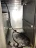 Kitchen Equipment (2pcs)