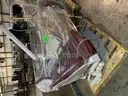 Dental Chair