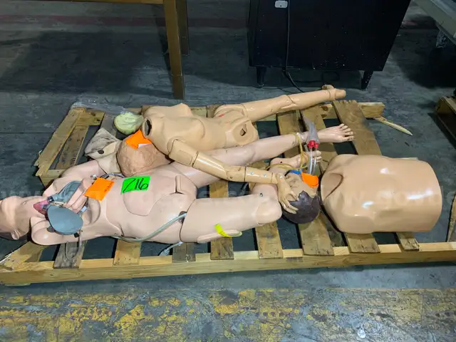 Medical Mannequin (3 pcs)