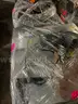 1 Lot (48 Pallets) of Computers, Laptops, & Networking Equipment