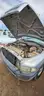 2001 Dodge Ram 1500 Reg. Cab Long Bed 2WD