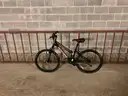 Mongoose Bicycle (PLEASE NOTE FIRM INSPECTION/REMOVAL DATES - ONLY 3 DAYS FOR REMOVAL)