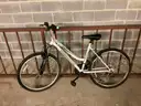 Roadmaster Bicycle (PLEASE NOTE FIRM INSPECTION/REMOVAL DATES - ONLY 3 DAYS FOR REMOVAL)