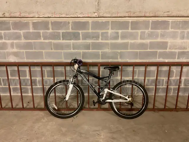 Schwinn Bicycle (PLEASE NOTE FIRM INSPECTION/REMOVAL DATES - ONLY 3 DAYS FOR REMOVAL)