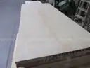 Unfinished Doors (20)