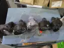 Exterior Lights &#x26; Bulbs