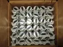 Light Bulbs