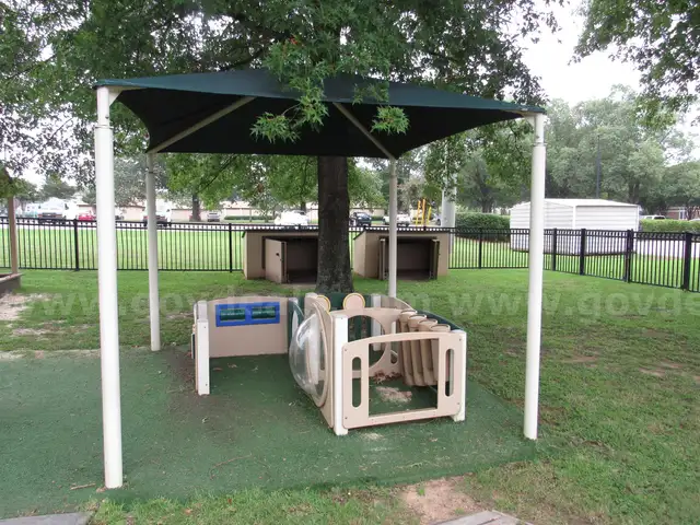 Canopy/Swing Set (OFF SITE INSPECTION AND REMOVAL - 24 HR NOTICE FOR APPOINTMENTS)