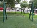 Canopy/Swing Set (OFF SITE INSPECTION AND REMOVAL - 24 HR NOTICE FOR APPOINTMENTS)