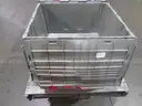 Plastic Totes (16)