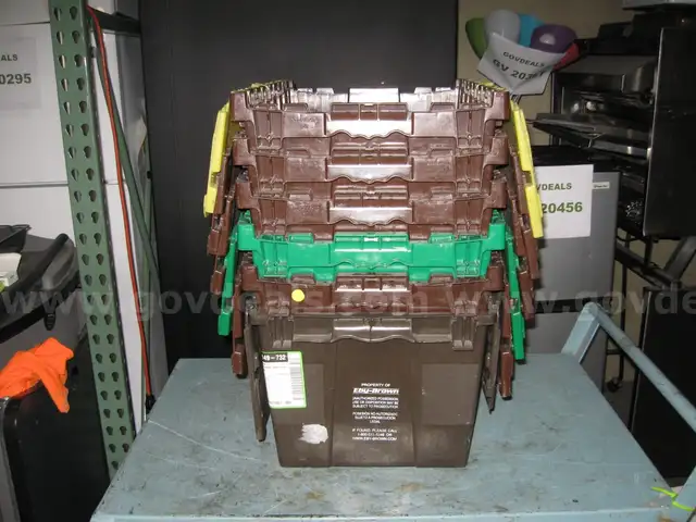 Storage Totes (6)