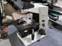 Microscope