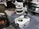 Microscope