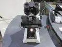 Microscope