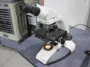 Microscope