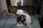 Microscope