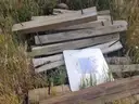 Large Stack of 8x6x6 Wood Posts