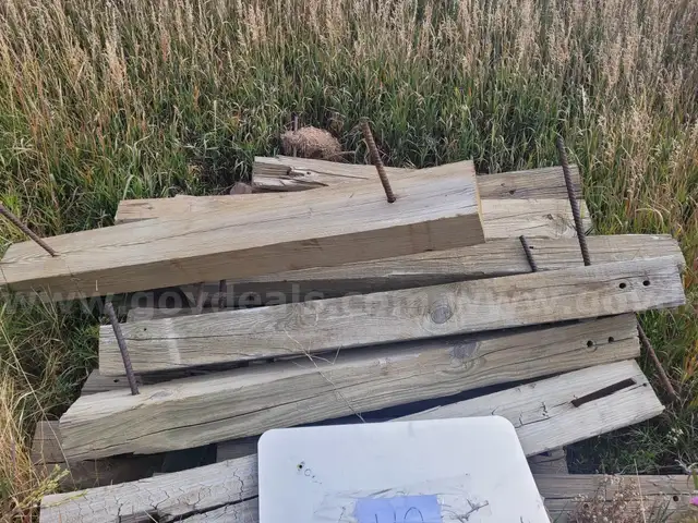 Large Stack of 8x6x6 Wood Posts